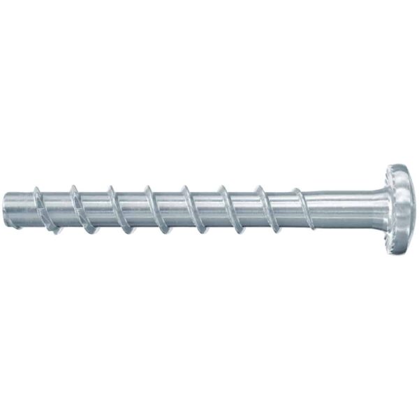FBS II 6x30/5 P gvz Vijak za beton